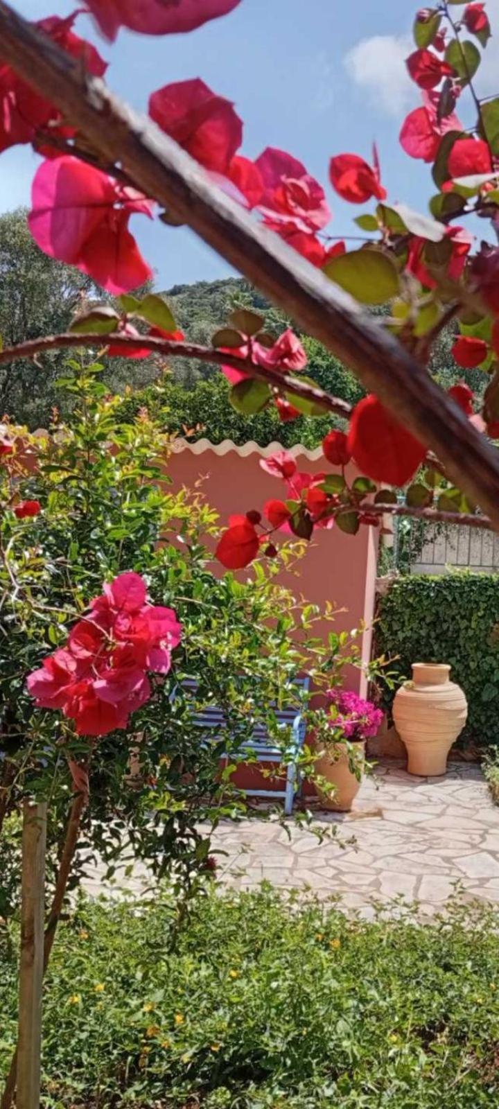Julietta Suites Argostoli  Buitenkant foto